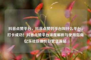 抖音点赞平台,抖音点赞的平台叫什么平台,打卡成功!抖音点赞平台深度解析与使用指南亿乐社区低价自营货源站