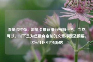 流量卡推荐,流量卡推荐排行榜前十名,当然可以。以下是为您量身定制的文章标题及摘要。亿乐社区SUP货源站