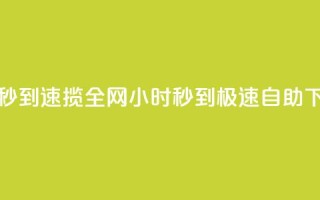 24小时自助下单秒到 - 速揽全网！24小时秒到！极速自助下单服务！~