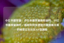 小红书播放量,小红书播放量有收益吗,小红书播放量飙升,揭秘如何快速提升视频曝光度的秘密亿乐社区SUP货源站