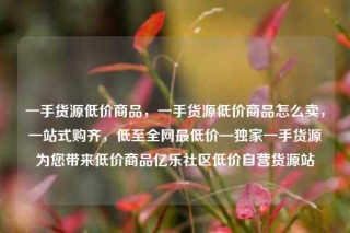 一手货源低价商品,一手货源低价商品怎么卖,一站式购齐,低至全网最低价—独家一手货源为您带来低价商品亿乐社区低价自营货源站