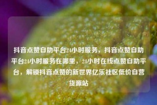 抖音点赞自助平台24小时服务,抖音点赞自助平台24小时服务在哪里,24小时在线点赞自助平台,解锁抖音点赞的新世界亿乐社区低价自营货源站