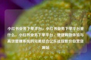 小红书业务下单平台,小红书业务下单平台是什么,小红书业务下单平台,便捷购物体验与高效管理系统的完美结合亿乐社区低价自营货源站