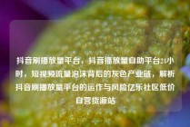 抖音刷播放量平台，抖音播放量自助平台24小时，短视频流量泡沫背后的灰色产业链，解析抖音刷播放量平台的运作与风险亿乐社区低价自营货源站