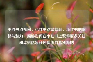 小红书点赞网,小红书点赞网址,小红书的崛起与魅力,揭秘如何在小红书上获得更多关注和点赞亿乐社区低价自营货源站