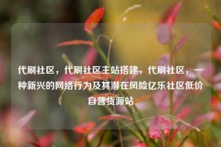 代刷社区,代刷社区主站搭建,代刷社区,一种新兴的网络行为及其潜在风险亿乐社区低价自营货源站