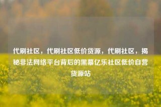 代刷社区,代刷社区低价货源,代刷社区,揭秘非法网络平台背后的黑幕亿乐社区低价自营货源站
