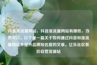 抖音涨流量网站,抖音涨流量网站有哪些,当然可以。以下是一篇关于如何通过抖音和涨流量网站来提升品牌知名度的文章。亿乐社区低价自营货源站