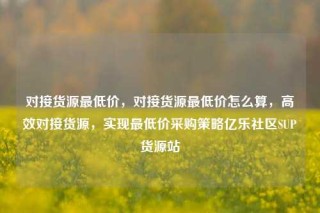 对接货源最低价,对接货源最低价怎么算,高效对接货源,实现最低价采购策略亿乐社区SUP货源站