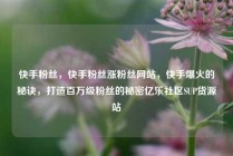 快手粉丝,快手粉丝涨粉丝网站,快手爆火的秘诀,打造百万级粉丝的秘密亿乐社区SUP货源站