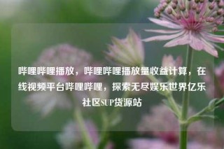 哔哩哔哩播放,哔哩哔哩播放量收益计算,在线视频平台哔哩哔哩,探索无尽娱乐世界亿乐社区SUP货源站