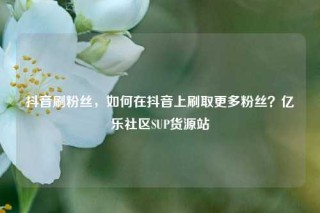 抖音刷粉丝,如何在抖音上刷取更多粉丝?亿乐社区SUP货源站