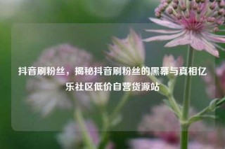 抖音刷粉丝,揭秘抖音刷粉丝的黑幕与真相亿乐社区低价自营货源站