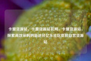 卡盟货源站,卡盟货源站官网,卡盟货源站,探索高效采购的新途径亿乐社区低价自营货源站