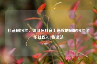 抖音刷粉丝,如何在抖音上高效地刷取粉丝亿乐社区SUP货源站