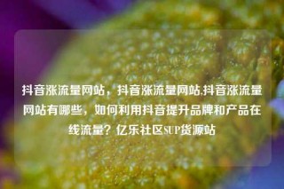 抖音涨流量网站,抖音涨流量网站,抖音涨流量网站有哪些,如何利用抖音提升品牌和产品在线流量?亿乐社区SUP货源站