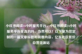 小红书阅读24小时服务平台,小红书阅读24小时服务平台是真的吗,当然可以!以下是为您定制的一篇文章标题和简要内容,亿乐社区低价自营货源站