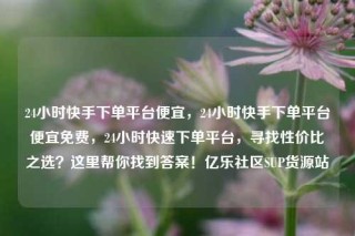 24小时快手下单平台便宜,24小时快手下单平台便宜免费,24小时快速下单平台,寻找性价比之选?这里帮你找到答案!亿乐社区SUP货源站
