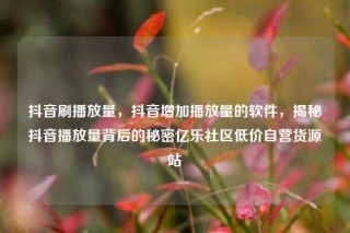抖音刷播放量，抖音增加播放量的软件，揭秘抖音播放量背后的秘密亿乐社区低价自营货源站