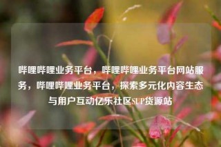 哔哩哔哩业务平台,哔哩哔哩业务平台网站服务,哔哩哔哩业务平台,探索多元化内容生态与用户互动亿乐社区SUP货源站