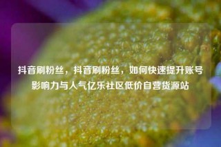 抖音刷粉丝,抖音刷粉丝,如何快速提升账号影响力与人气亿乐社区低价自营货源站
