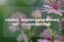 抖音买粉丝，如何利用抖音提升影响力并购买粉丝？亿乐社区低价自营货源站