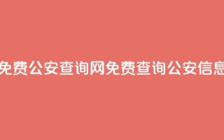 免费公安查询网(免费查询公安信息)