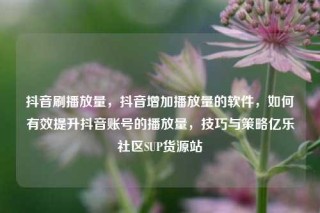 抖音刷播放量，抖音增加播放量的软件，如何有效提升抖音账号的播放量，技巧与策略亿乐社区SUP货源站