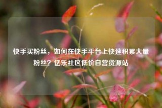 快手买粉丝,如何在快手平台上快速积累大量粉丝?亿乐社区低价自营货源站