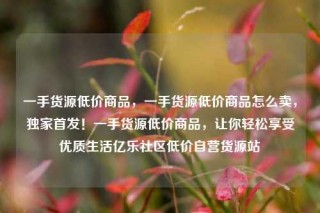 一手货源低价商品,一手货源低价商品怎么卖,独家首发!一手货源低价商品,让你轻松享受优质生活亿乐社区低价自营货源站