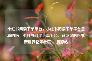 小红书阅读下单平台,小红书阅读下单平台是真的吗,小红书阅读下单平台,解锁你的购书新世界亿乐社区SUP货源站