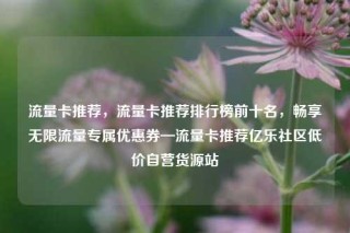 流量卡推荐,流量卡推荐排行榜前十名,畅享无限流量专属优惠券—流量卡推荐亿乐社区低价自营货源站