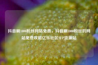 抖音刷1000粉丝网站免费,抖音刷1000粉丝的网站免费攻略亿乐社区SUP货源站