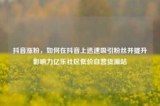 抖音涨粉，如何在抖音上迅速吸引粉丝并提升影响力亿乐社区低价自营货源站