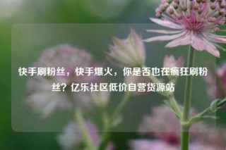 快手刷粉丝,快手爆火,你是否也在疯狂刷粉丝?亿乐社区低价自营货源站