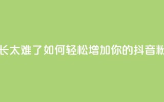 抖音粉丝增长太难了 - 如何轻松增加你的抖音粉丝数~