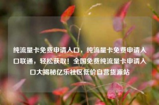 纯流量卡免费申请入口,纯流量卡免费申请入口联通,轻松获取!全国免费纯流量卡申请入口大揭秘亿乐社区低价自营货源站