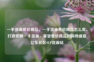 一手货源低价商品,一手货源低价商品怎么卖,打造优质一手货源,享受低价商品的购物盛宴亿乐社区SUP货源站