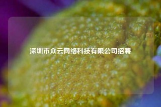 深圳市众云网络科技有限公司招聘