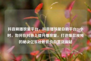 抖音刷播放量平台,抖音播放量自助平台24小时,如何在抖音上提升播放量,打造爆款视频的秘诀亿乐社区低价自营货源站