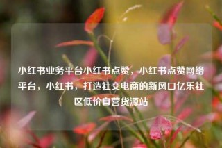 小红书业务平台小红书点赞,小红书点赞网络平台,小红书,打造社交电商的新风口亿乐社区低价自营货源站