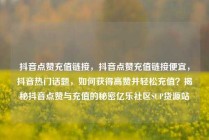 抖音点赞充值链接,抖音点赞充值链接便宜,抖音热门话题,如何获得高赞并轻松充值?揭秘抖音点赞与充值的秘密亿乐社区SUP货源站