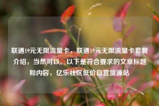 联通19元无限流量卡,联通19元无限流量卡套餐介绍,当然可以。以下是符合要求的文章标题和内容,亿乐社区低价自营货源站