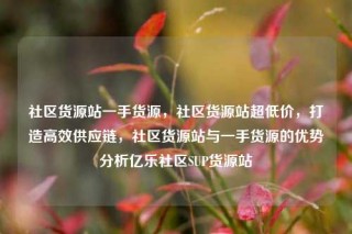 社区货源站一手货源,社区货源站超低价,打造高效供应链,社区货源站与一手货源的优势分析亿乐社区SUP货源站