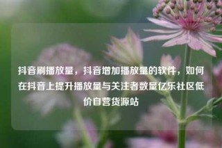 抖音刷播放量,抖音增加播放量的软件,如何在抖音上提升播放量与关注者数量亿乐社区低价自营货源站
