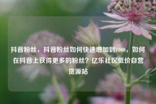 抖音粉丝,抖音粉丝如何快速增加到1000,如何在抖音上获得更多的粉丝?亿乐社区低价自营货源站