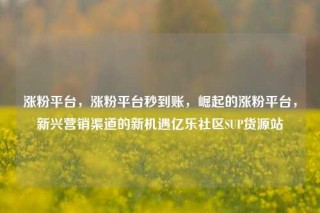 涨粉平台,涨粉平台秒到账,崛起的涨粉平台,新兴营销渠道的新机遇亿乐社区SUP货源站