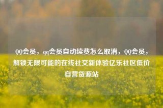 QQ会员,qq会员自动续费怎么取消,QQ会员,解锁无限可能的在线社交新体验亿乐社区低价自营货源站