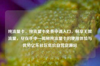 纯流量卡,纯流量卡免费申请入口,畅享无限流量,尽在手中—揭秘纯流量卡的使用体验与优势亿乐社区低价自营货源站
