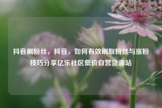 抖音刷粉丝，抖音，如何有效刷取粉丝与涨粉技巧分享亿乐社区低价自营货源站